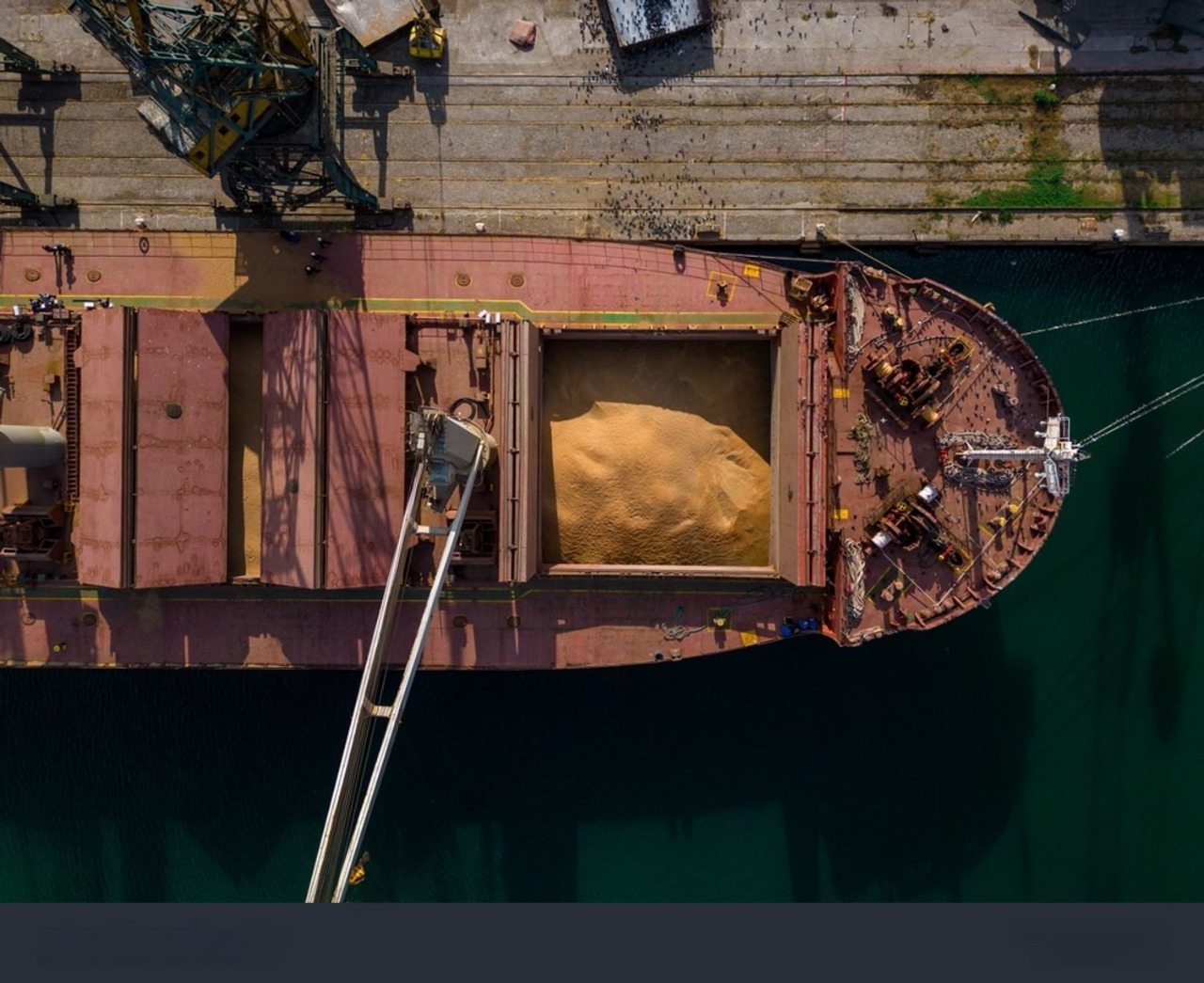 استيراد بواخر القمح الصلب