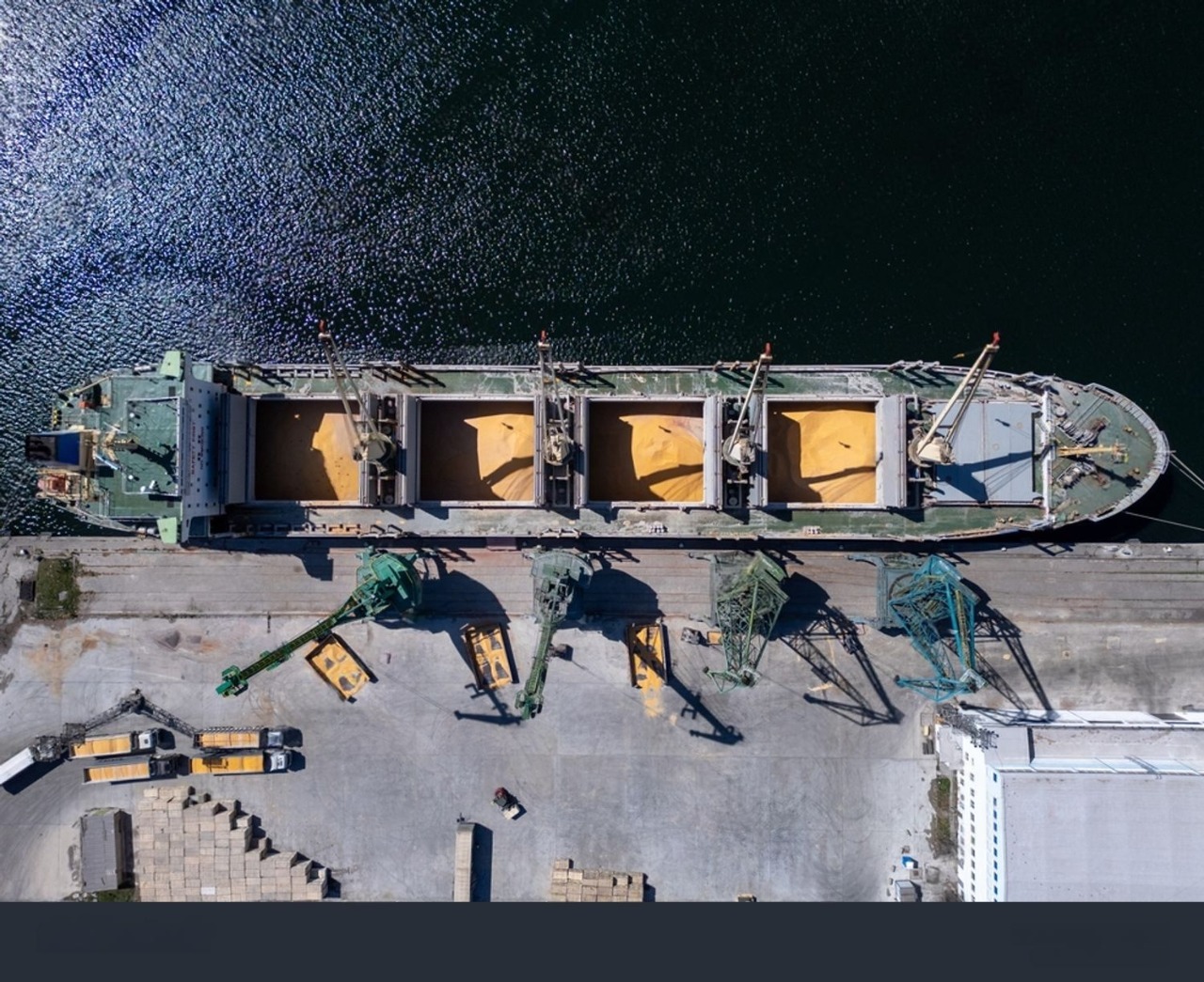 استيراد بواخر القمح الطري